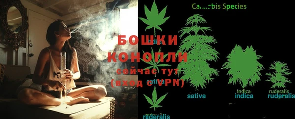 PSILOCYBIN Каменка