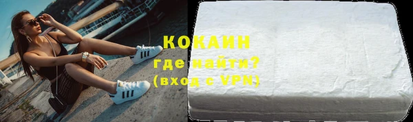 прущие грибы Братск