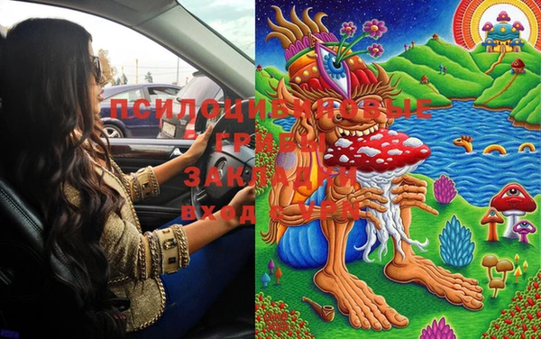 PSILOCYBIN Каменка