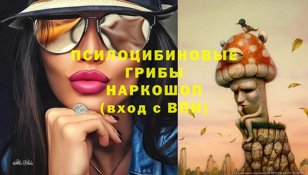 мескалин Каменногорск