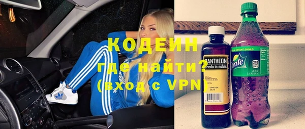 PSILOCYBIN Каменка