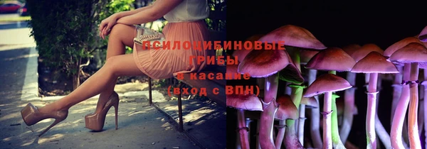 МДПВ Великий Новгород