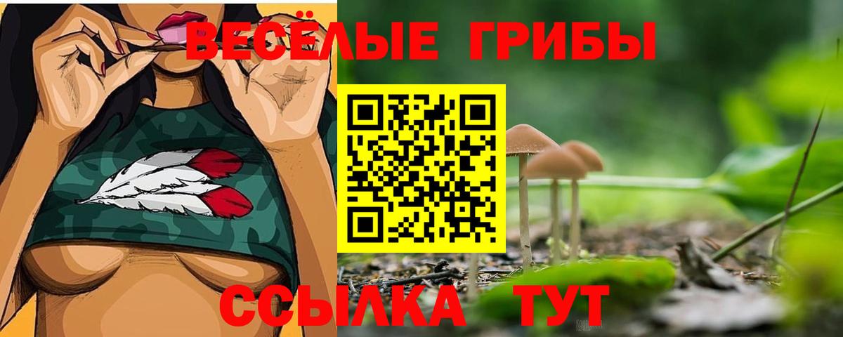 Галлюциногенные грибы Cubensis  Вход с VPN  Карачаевск 