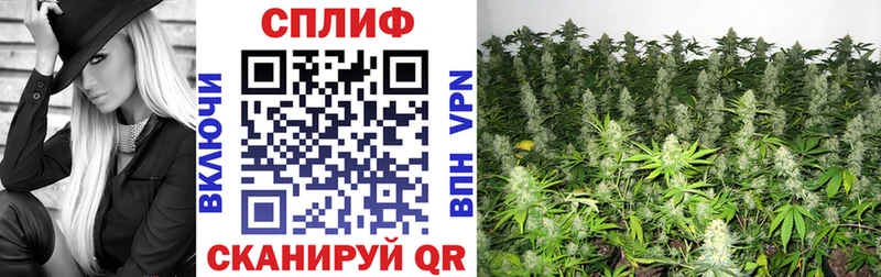 Шишки марихуана LSD WEED  mega как зайти  Карачаевск 